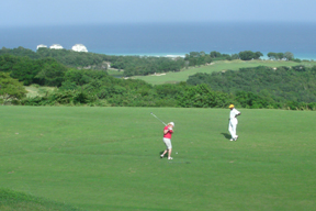 Pam Golfing