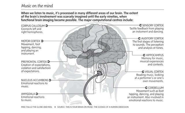 Music on the Mind