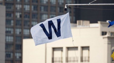 Chicago Cubs W Flag